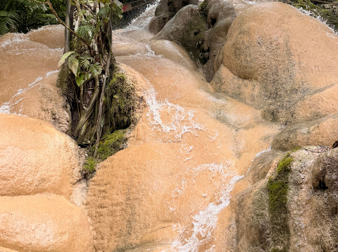 Tee Chiangmai Private Tour-清迈必去景点