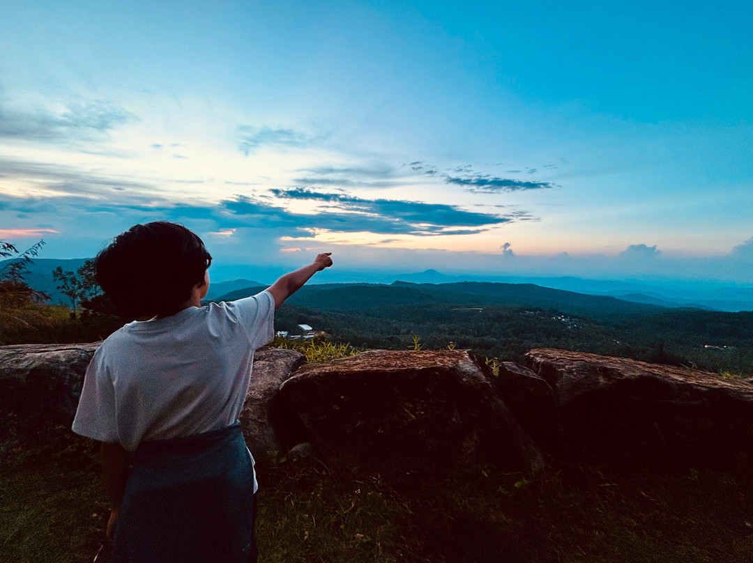 Mount Pico Resorts