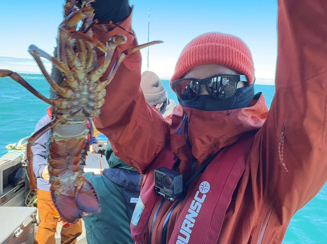 The Rodfather Fishing Charters-Kaikoura必去景点