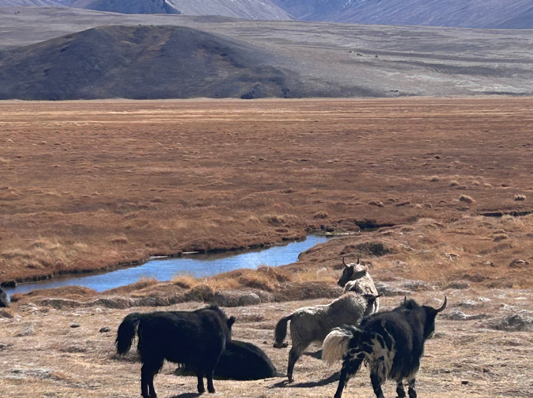 Pamir Off-Road Adventure Tours-Murghab必去景点