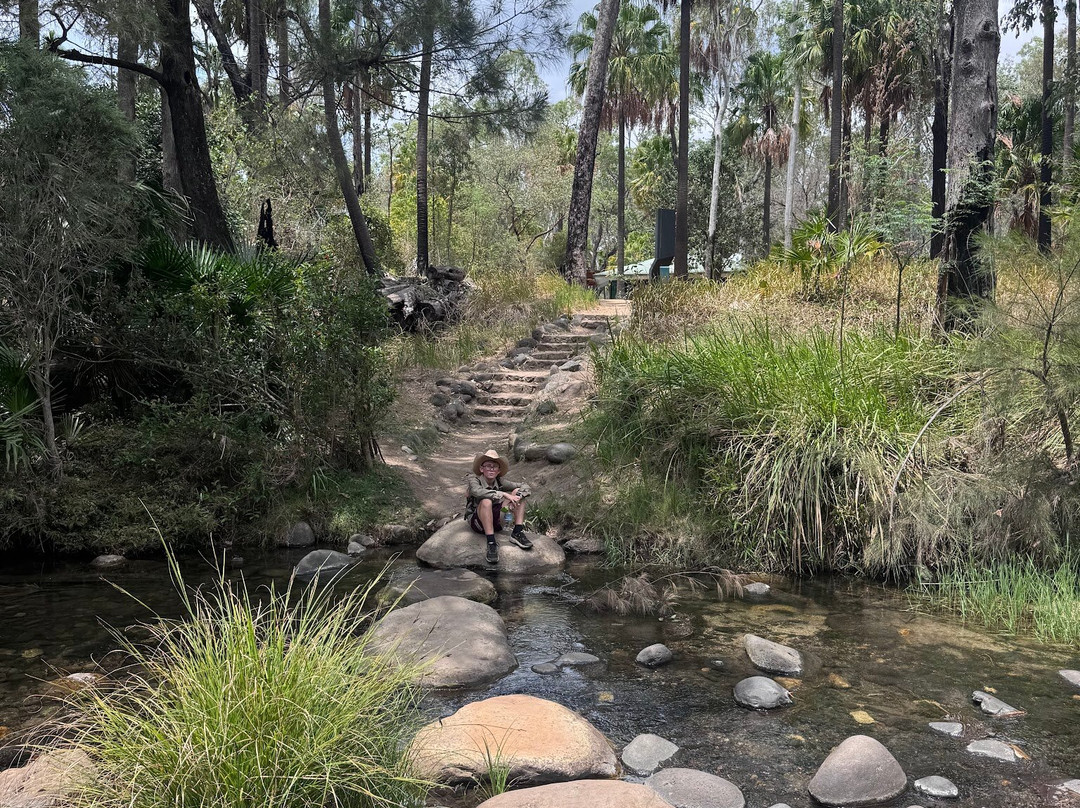 Carnarvon Gorge-Carnarvon National Park必去景点