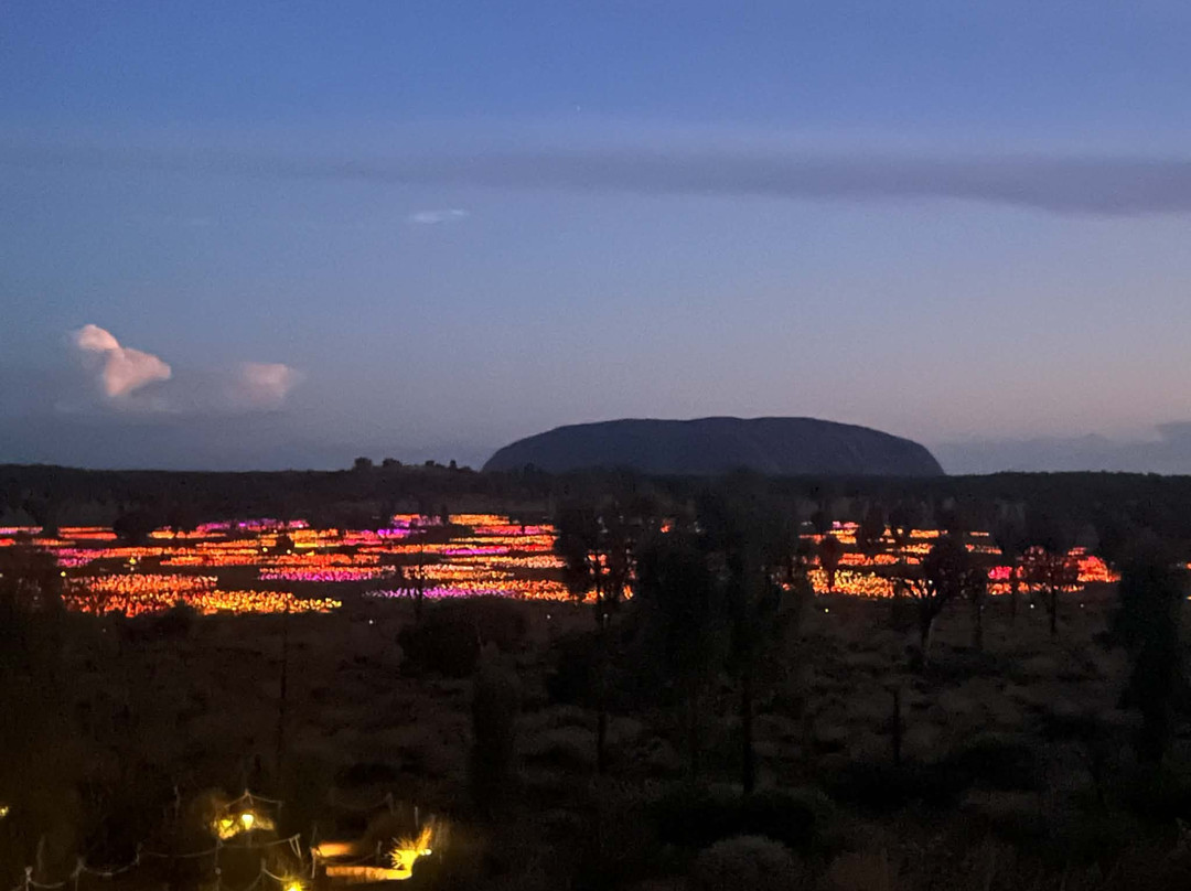 Field of Light-乌鲁鲁-卡塔丘塔国家公园必去景点