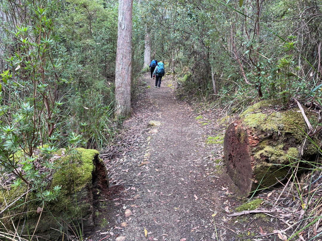 Three Capes Signature Walk by Tasmanian Walking Company-亚瑟港必去景点
