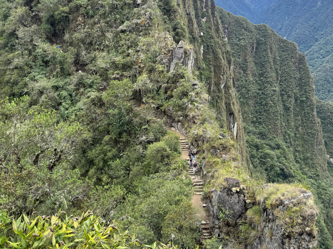 Alpaca Expeditions-库斯科必去景点