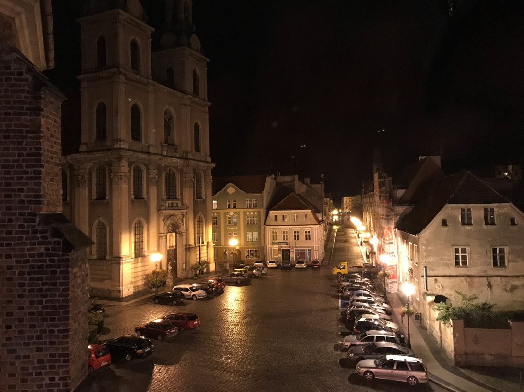 Opole Province酒店住宿-Arte Hotel