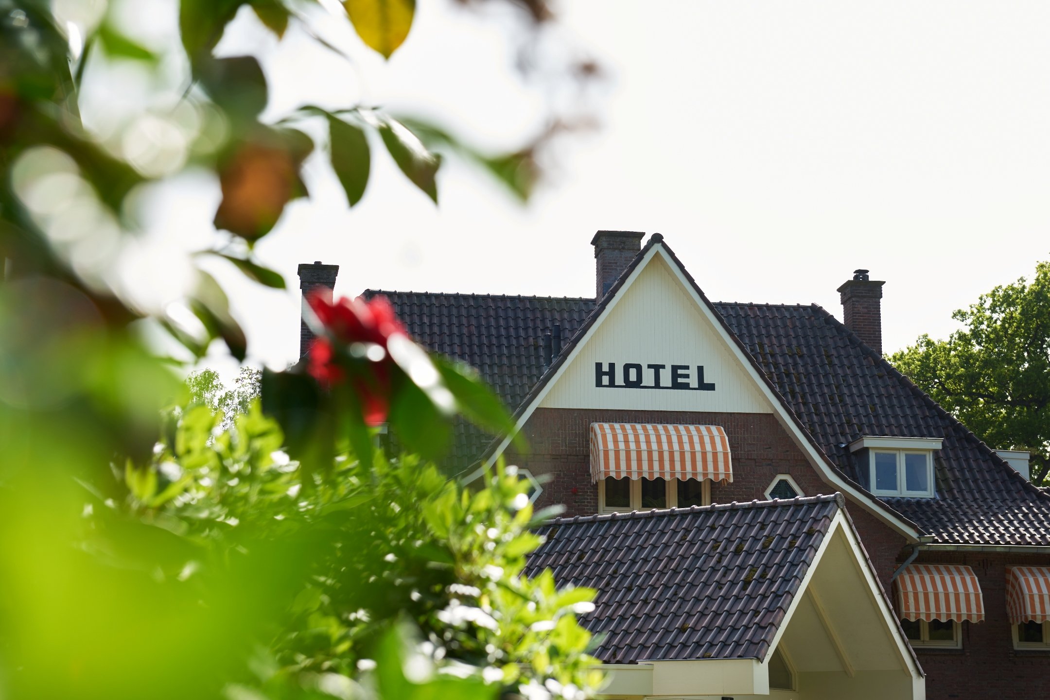 Hotel 't Kruisselt-官方