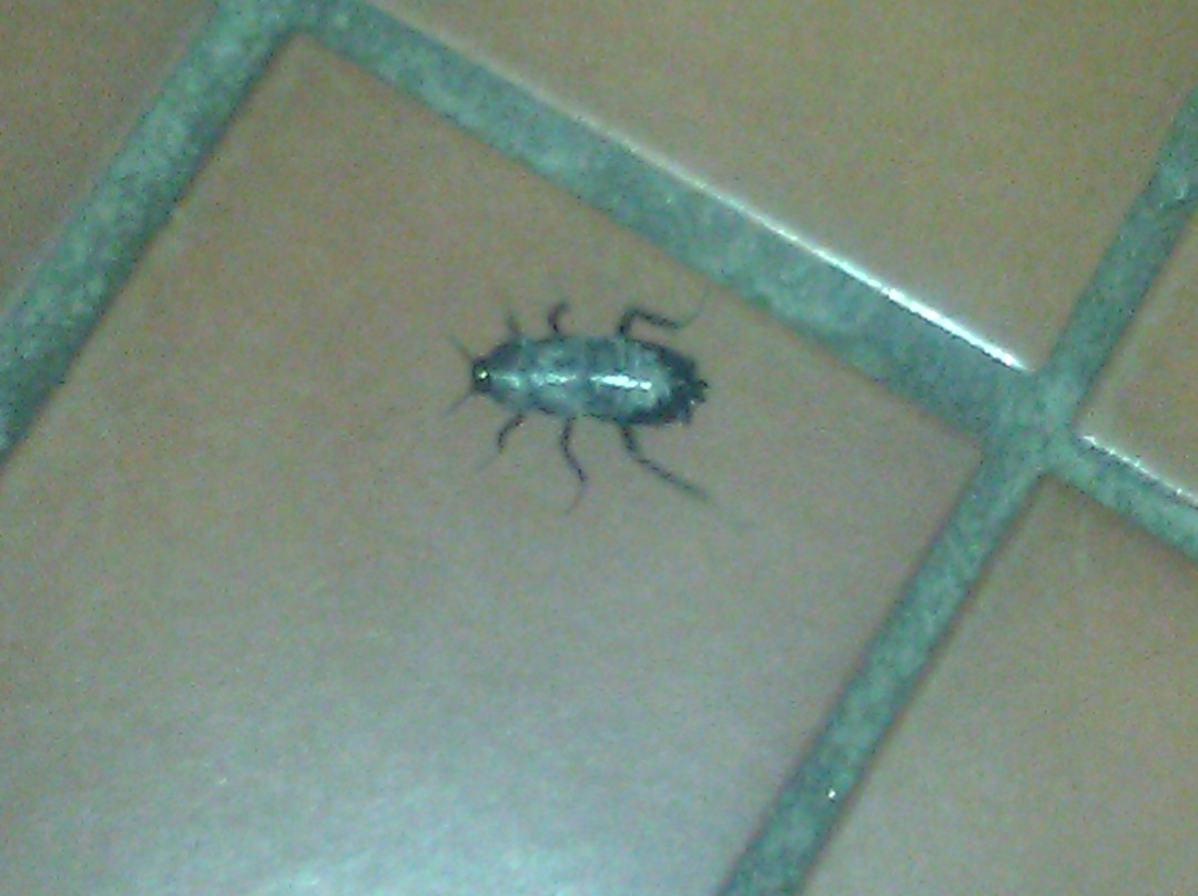 Best Budget Inn Joliet