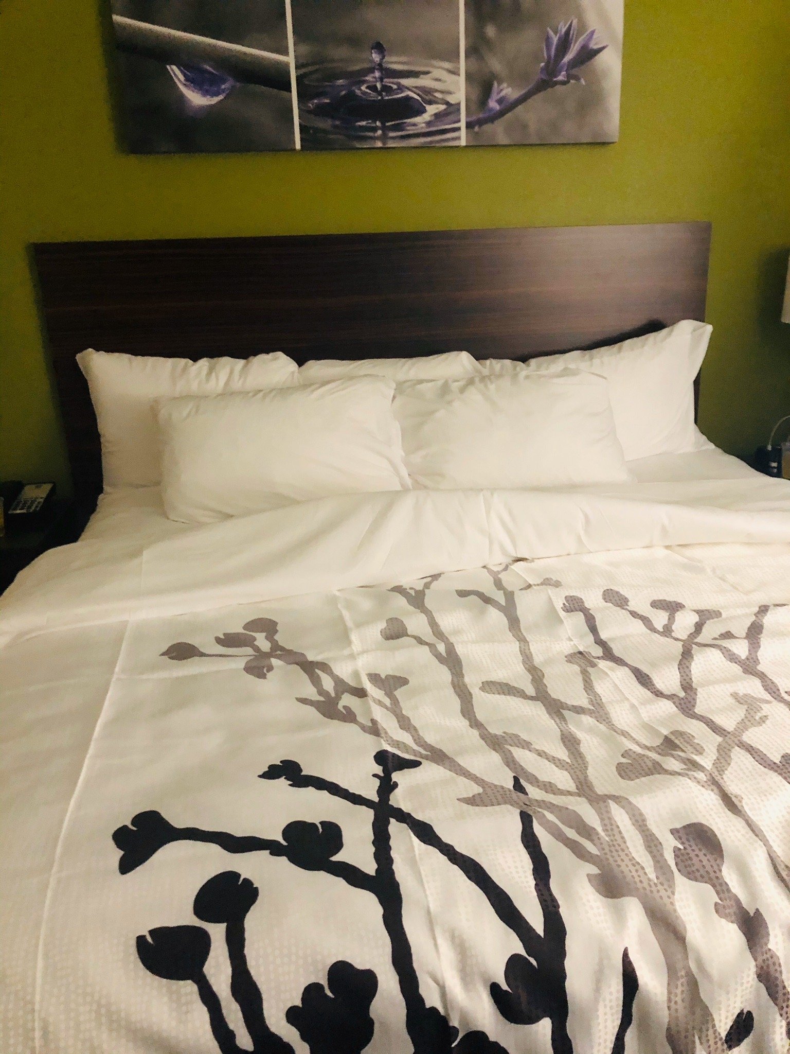 Sleep Inn-官方