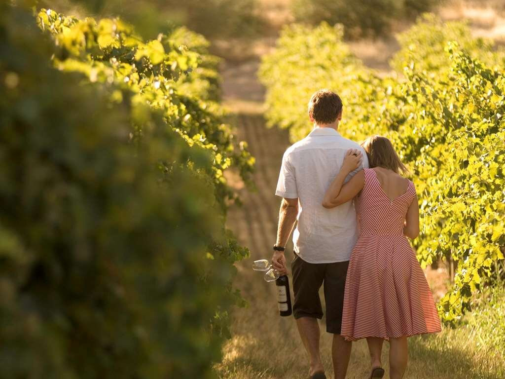 巴罗莎谷诺富特度假酒店主图