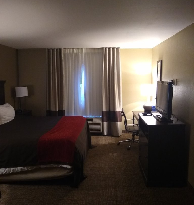 Comfort Inn & Suites Russellville I-40主图