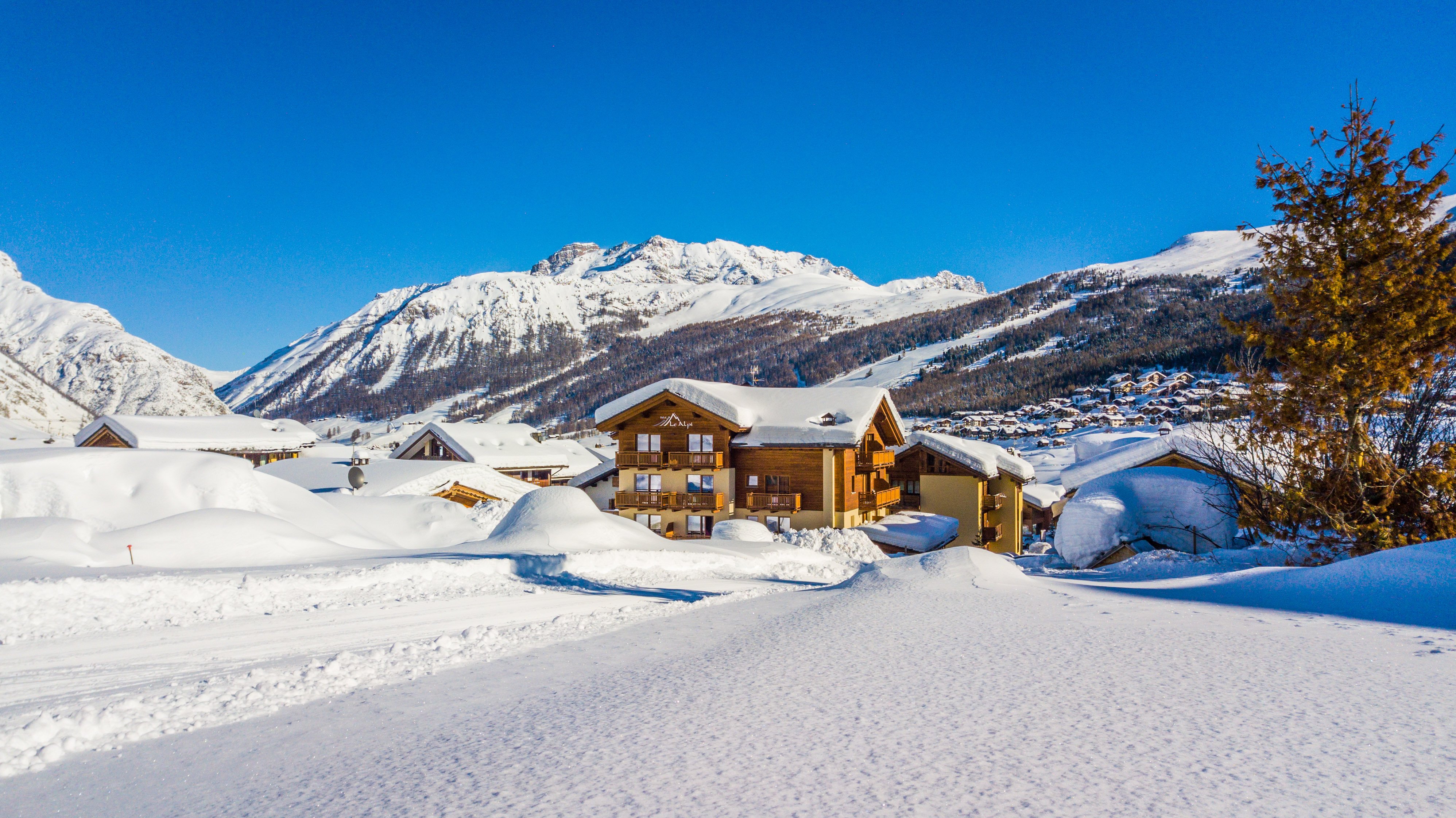 Hotel Le Alpi-官方