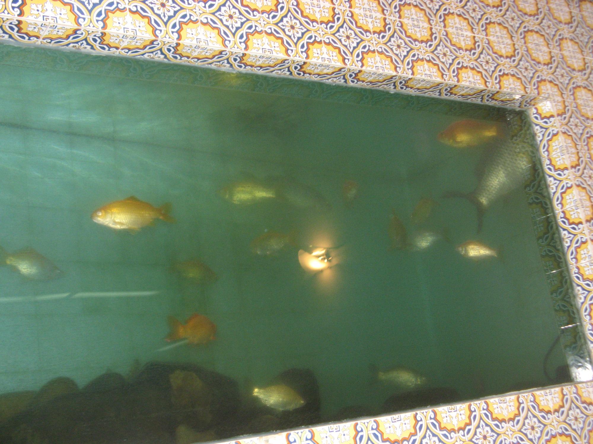 Hotel Buzio-客卧