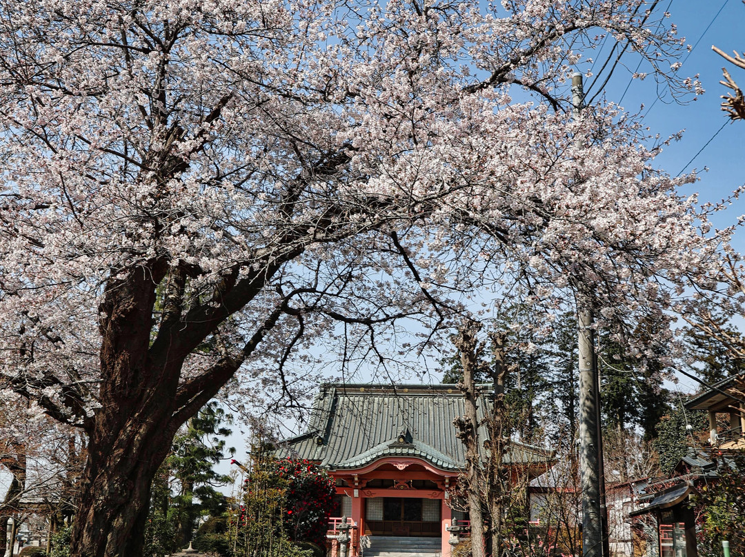 Hoonzan Tairin-ji Temple景点图片