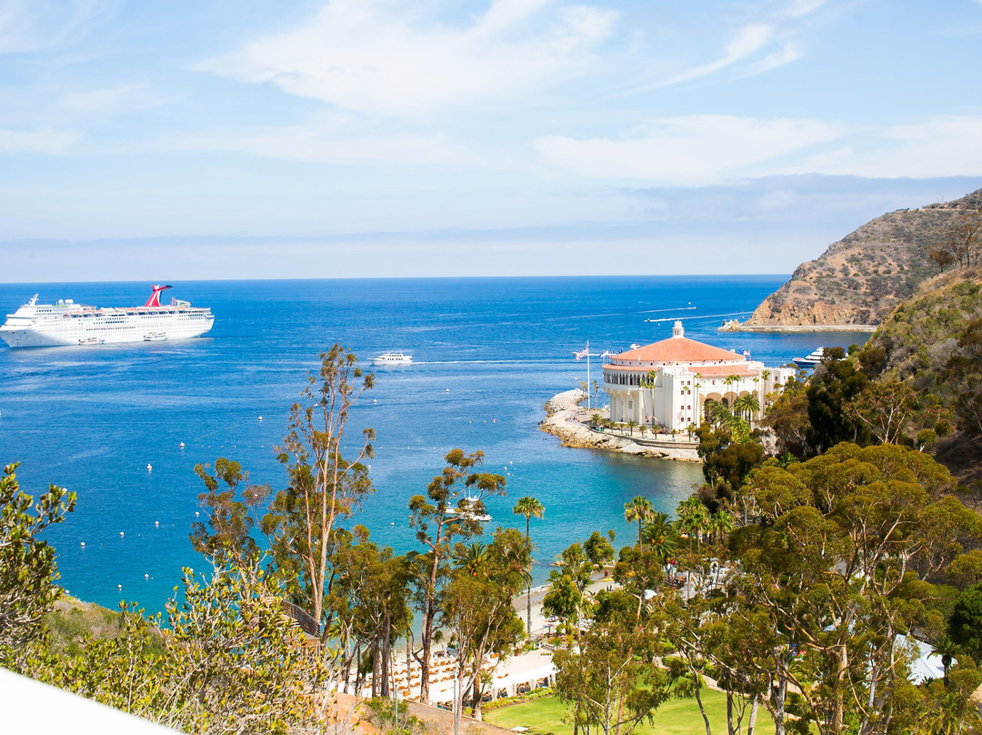 Catalina Island Visitor Center景点图片