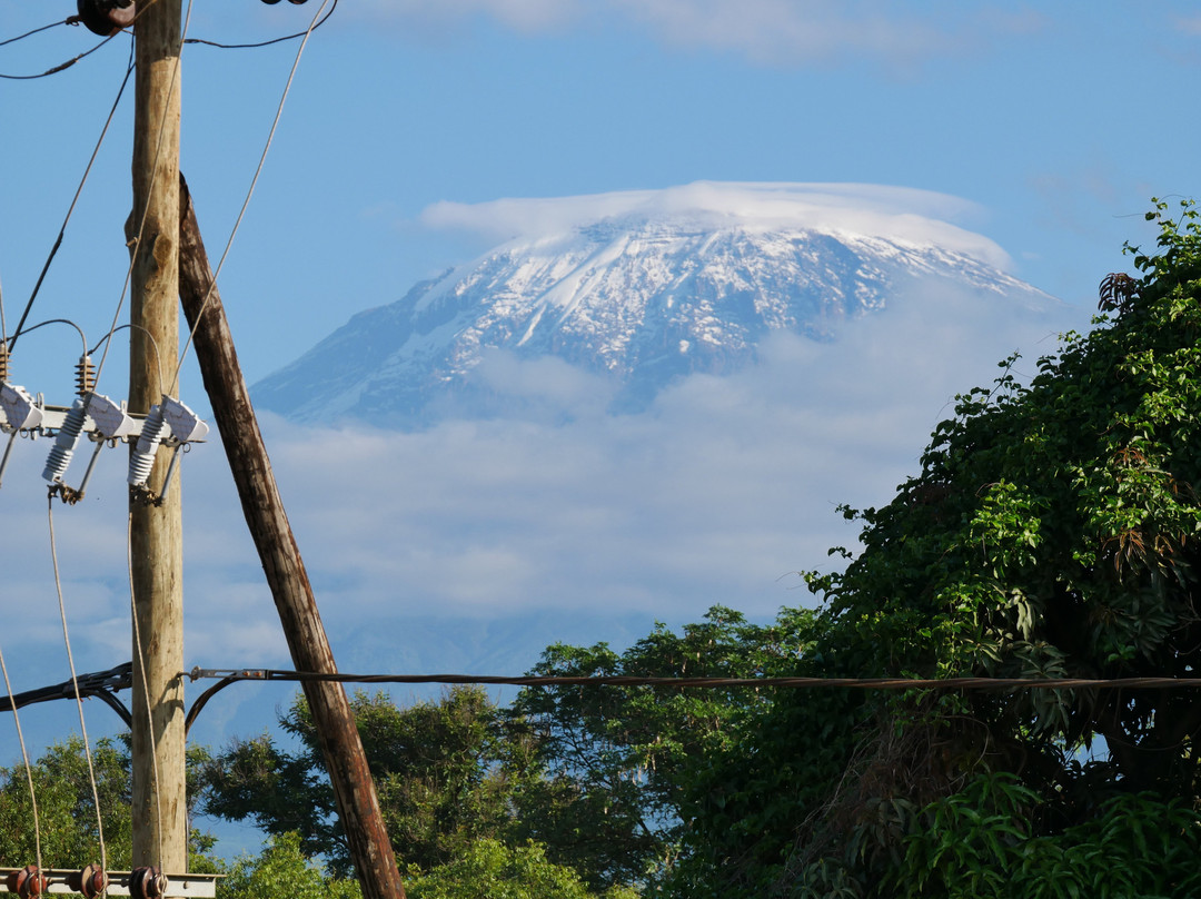 The Comfy Stay Hotel