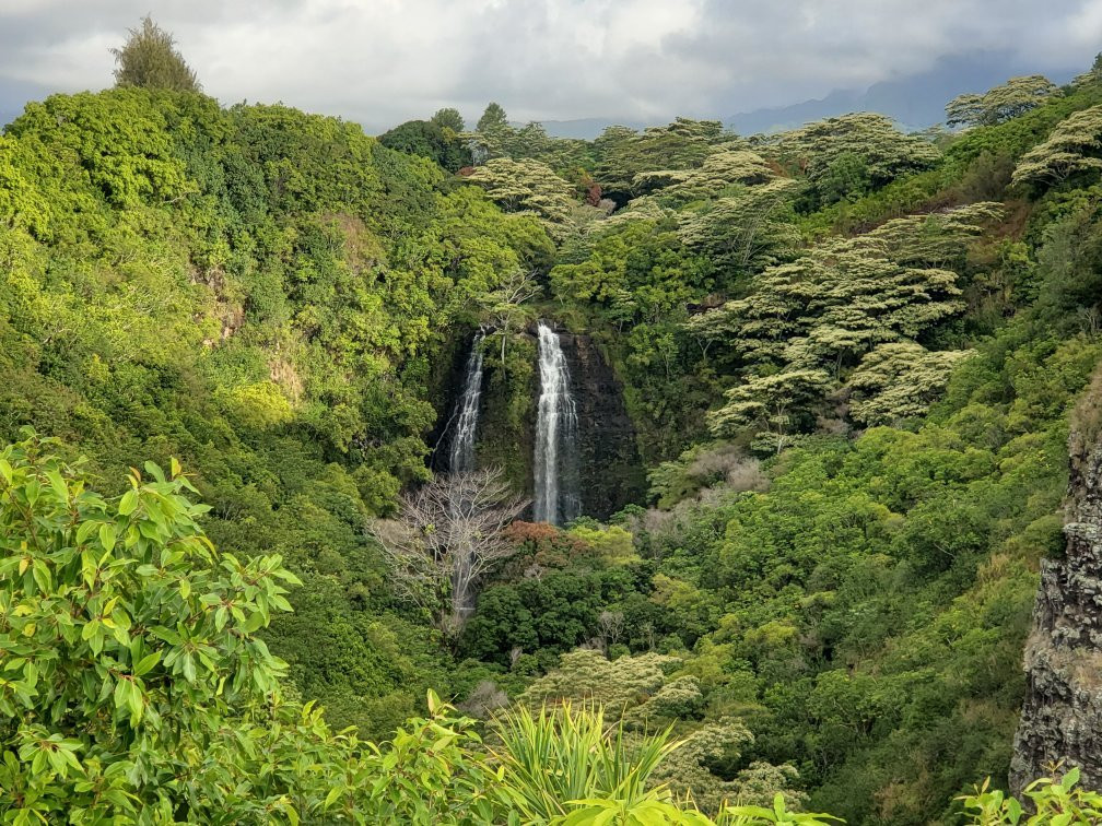 Ho'olalaea Waterfall景点图片