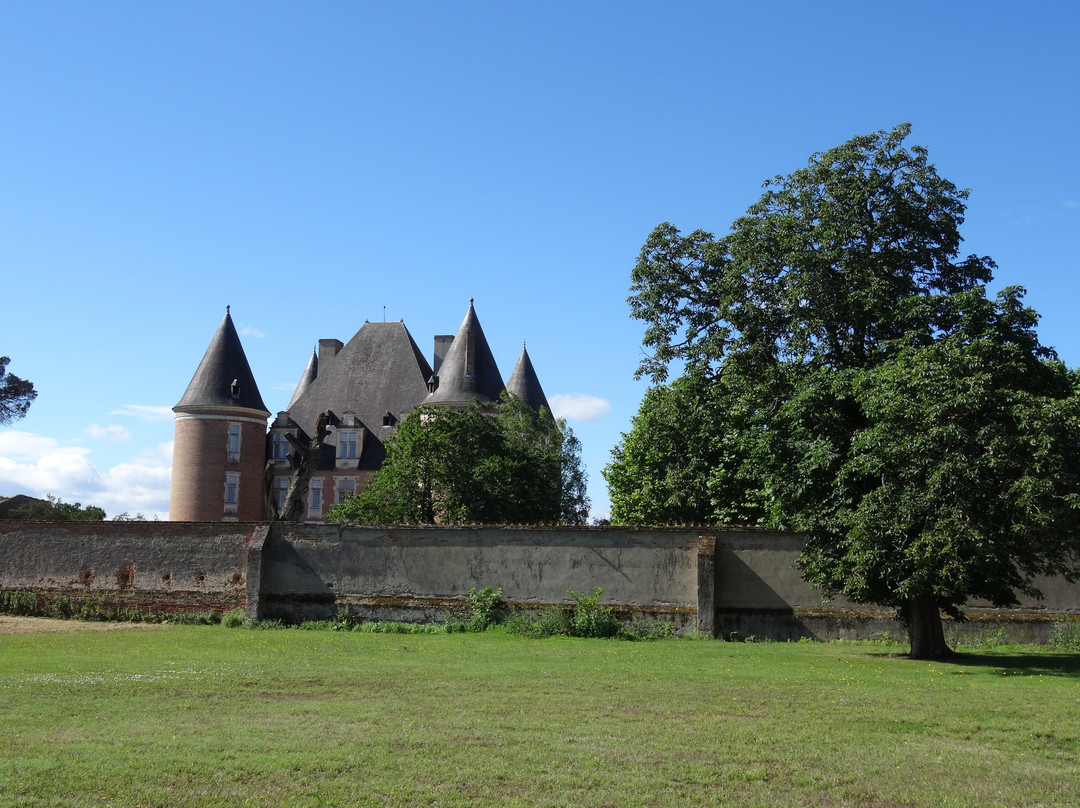 Château Renaissance à Saint-Elix-le-Chateau景点图片