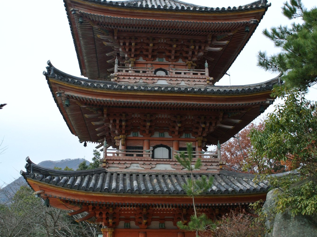 Kojoji Temple景点图片