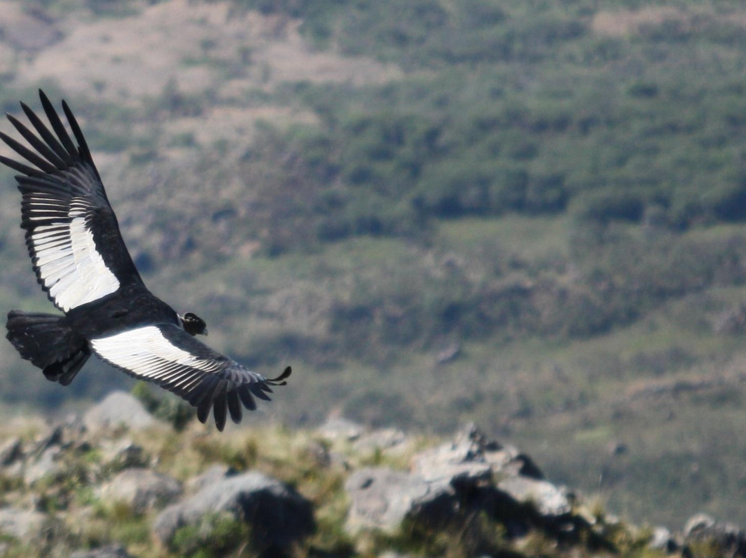 Valle de los Condores-塔里哈必去景点