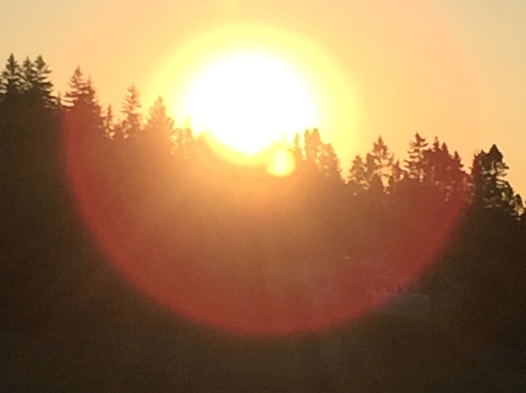 Lepreau旅游景点-Chance Harbour Nature Spa