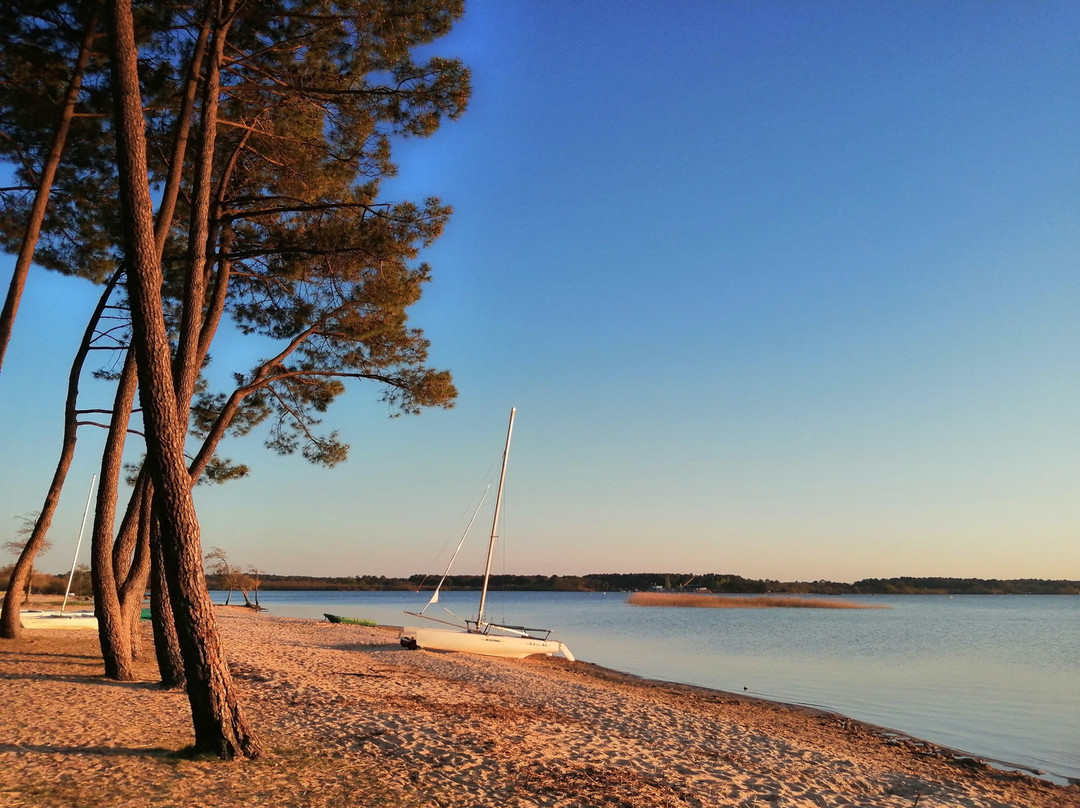 Lac de Biscarrosse et de Parentis 景点图片