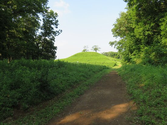 Sakatagaike Comprehensive Park-成田市必去景点