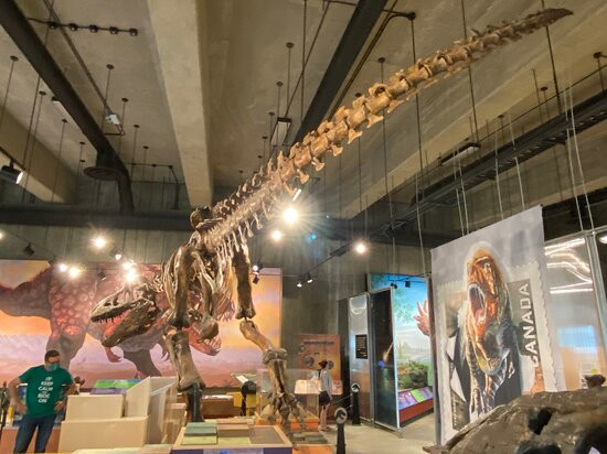 T. rex Discovery Centre景点图片