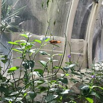 蟲鳴大地-巴巷海滩必去景点