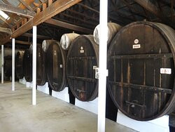 Buller Wines景点图片
