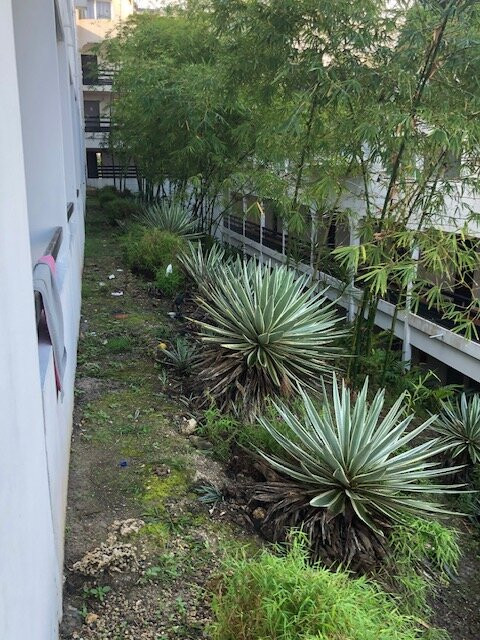 La Créole Beach Hôtel & Spa主图