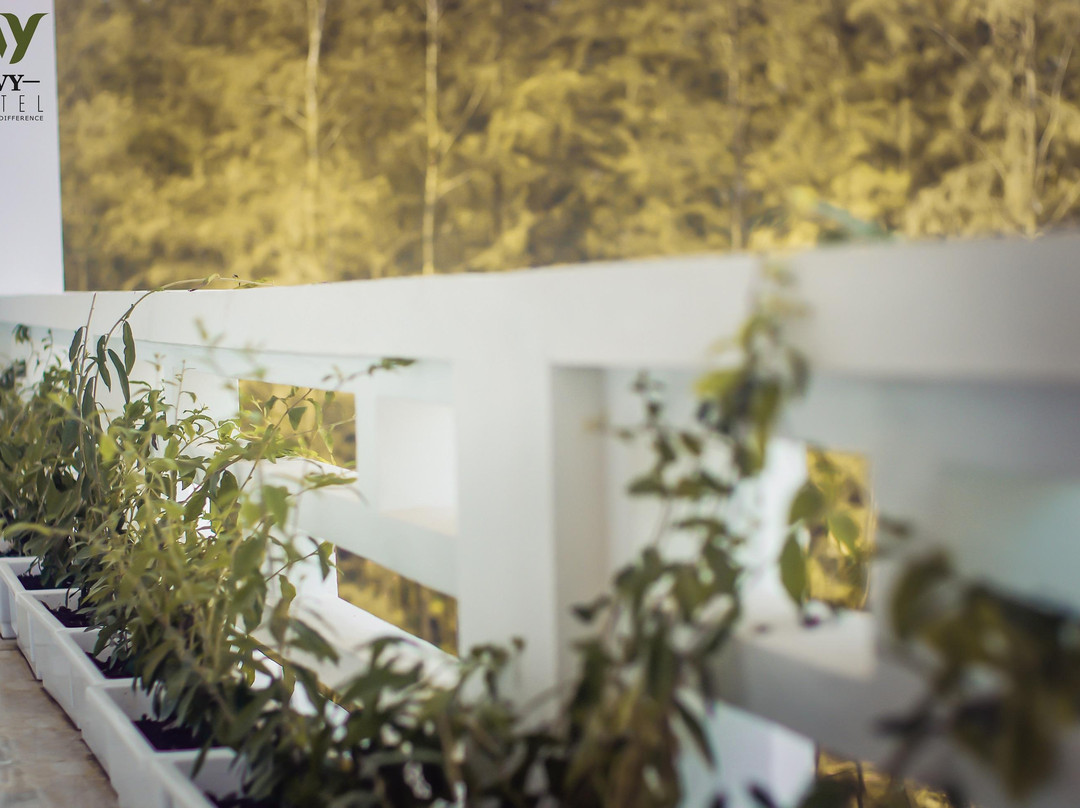 Ivy Hotel Hải Tiến