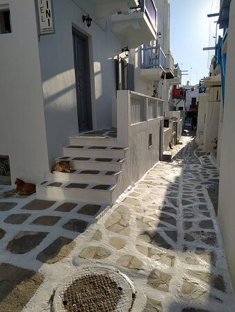 迦里尼酒店主图