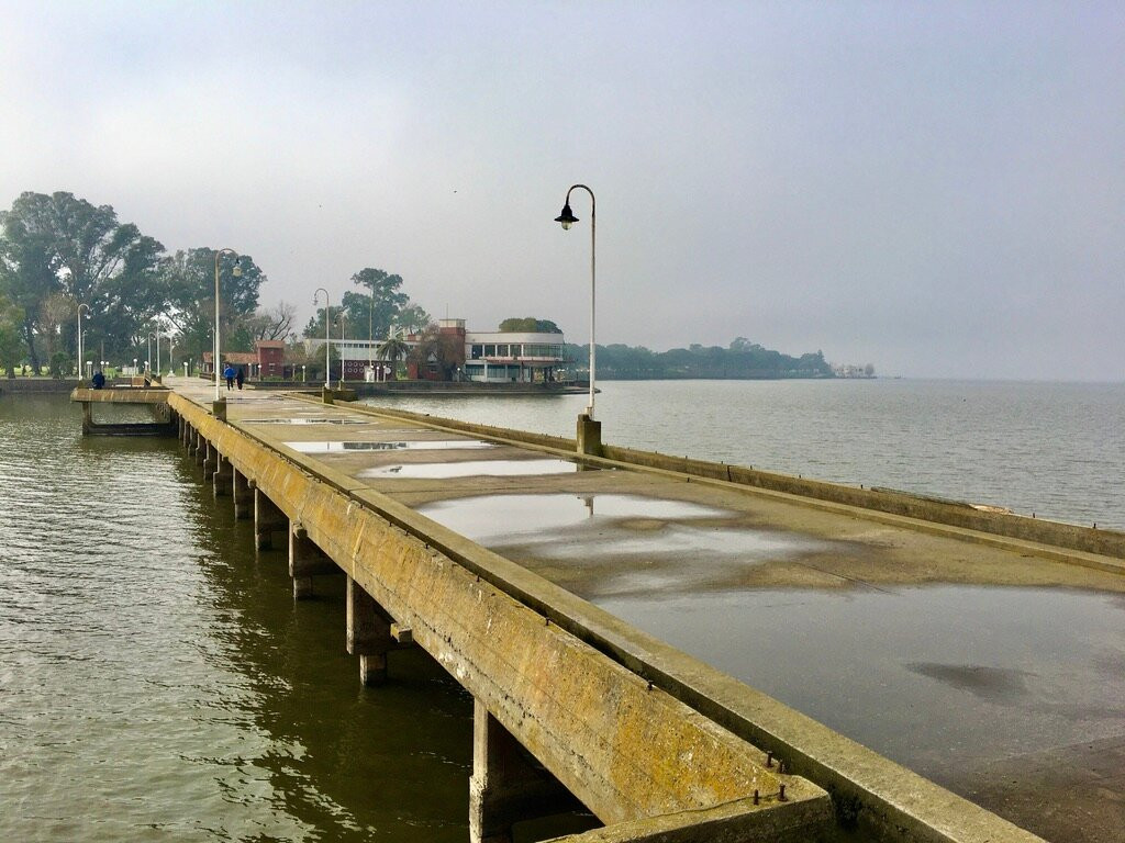 Laguna de Chascomus景点图片