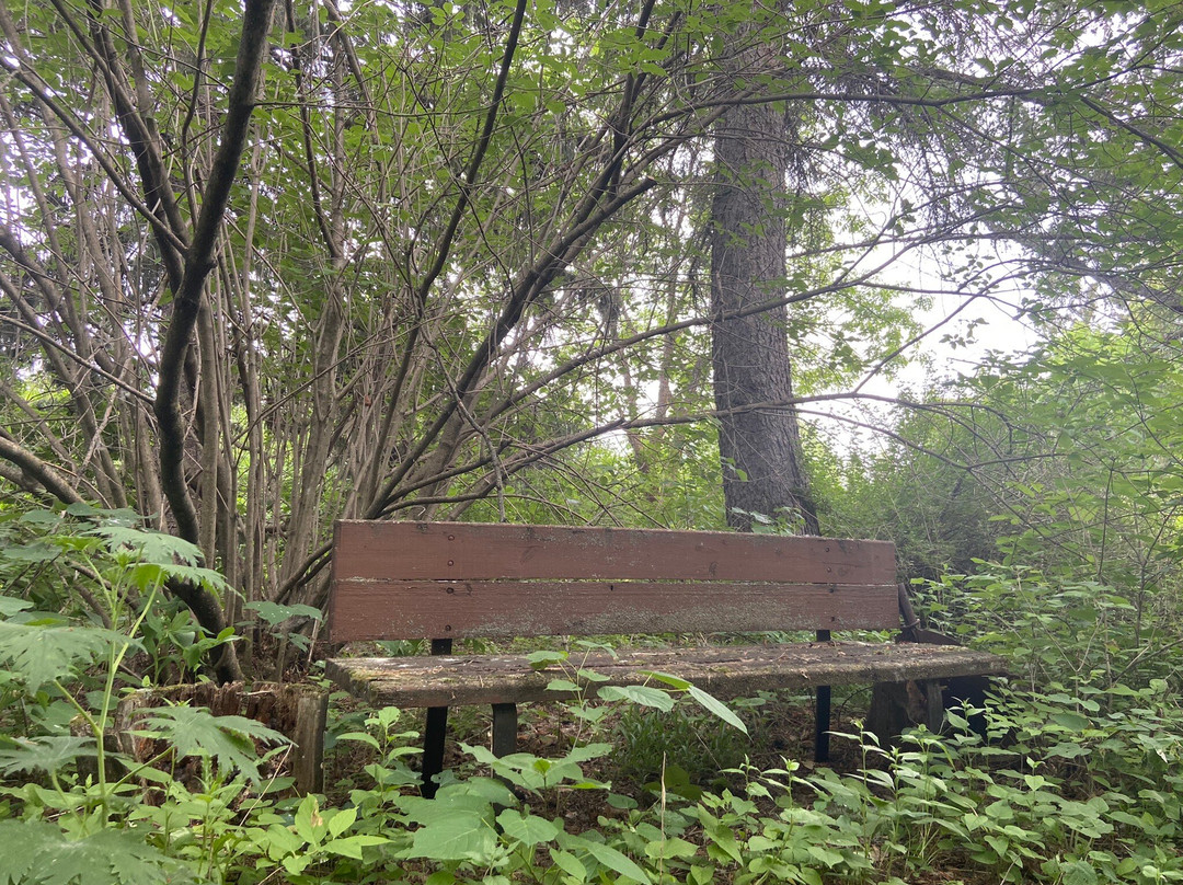Frank Skinner Arboretum Trail景点图片