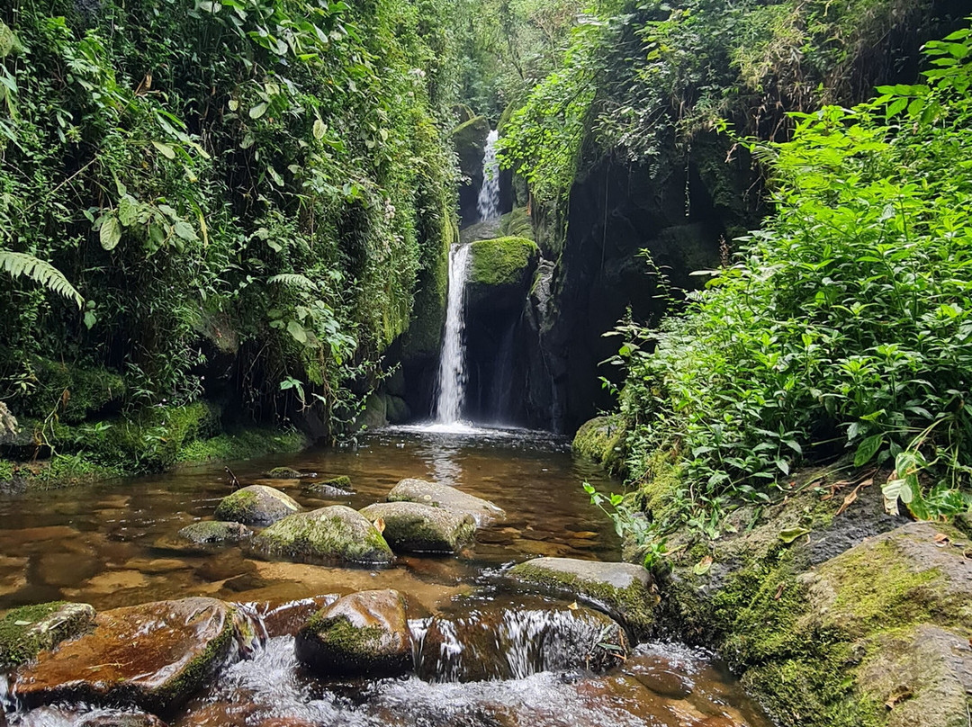 Cachoeira das Andorinhas-Sao Francisco Xavier必去景点
