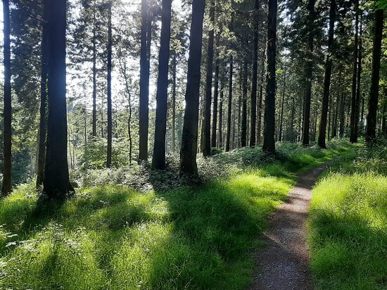 Slieve Bloom Mountain Bike Trails-Kinnitty必去景点