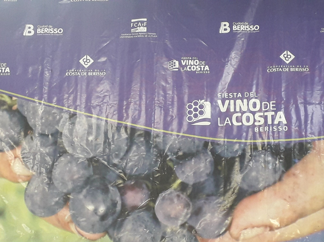 Cooperativa Vino De La Costa De Berisso景点图片