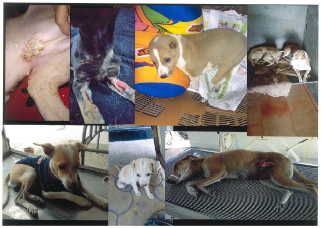 Khadki旅游攻略图片