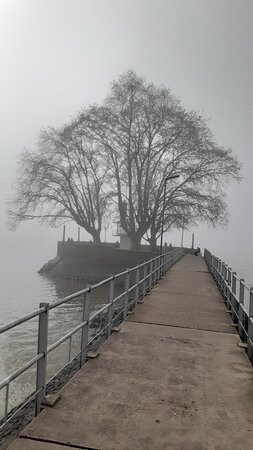 Puerto de Olivos-Olivos必去景点