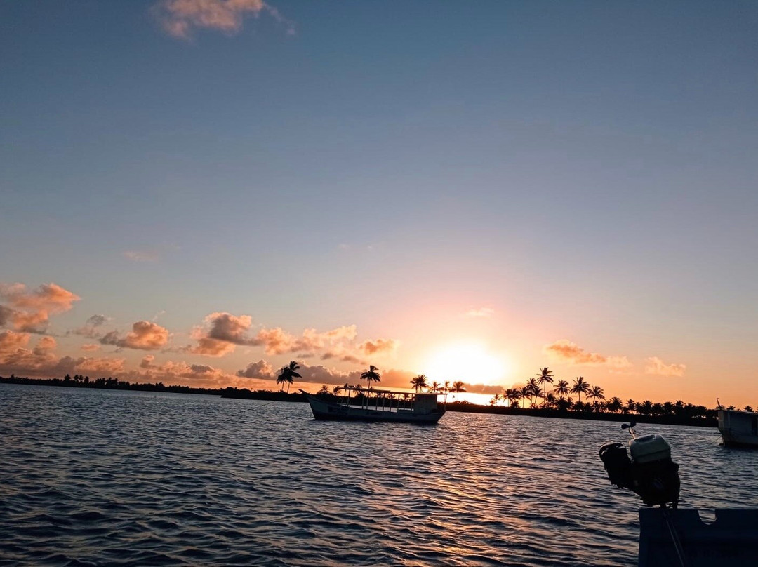 Cometa Turismo-Piacabucu必去景点
