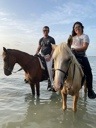 Jurutungo Farm-Florida必去景点