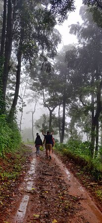 Kalgreen Valley Resort主图