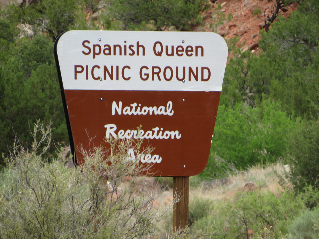 Spanish Queen Picnic Site景点图片