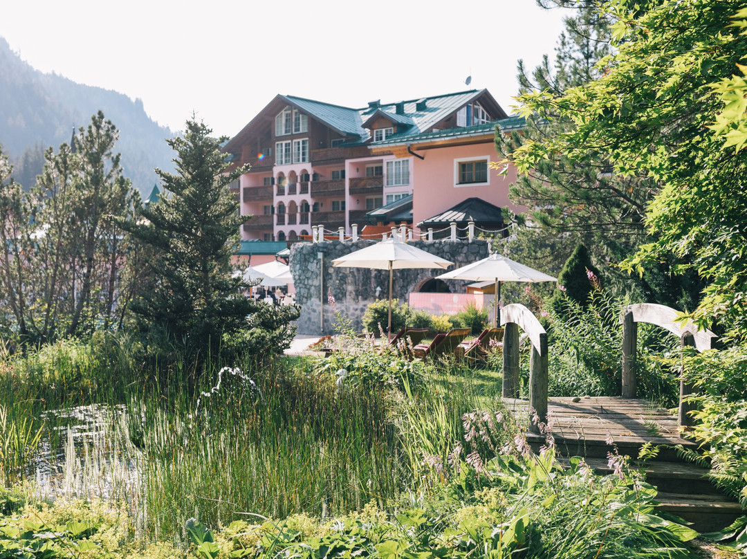 ...liebes Rot-Flüh主图