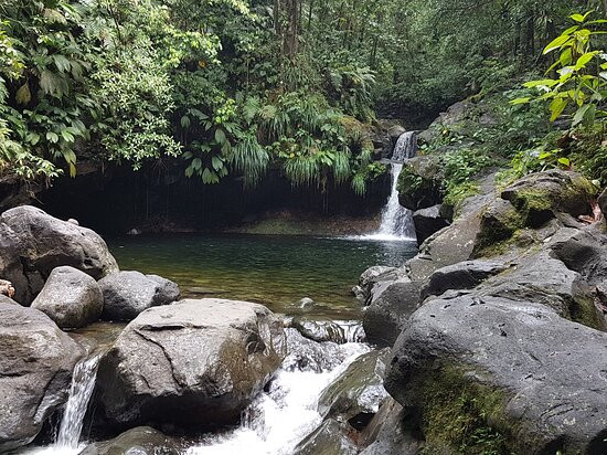 Guadeloupe National Park-Petit-Bourg必去景点