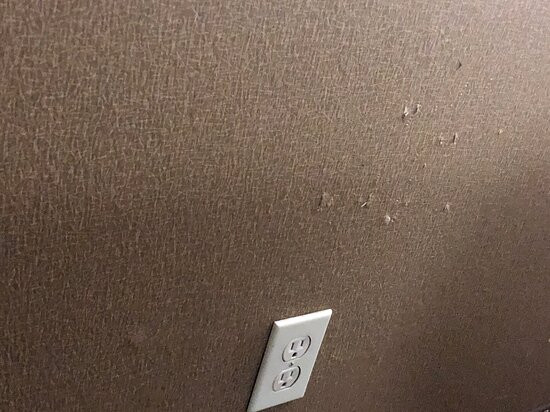 Comfort Inn Escondido San Diego North County主图