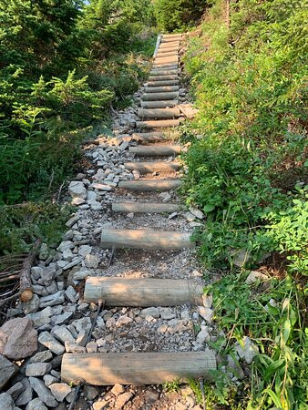 Heather Meadows Visitor Center-Deming必去景点