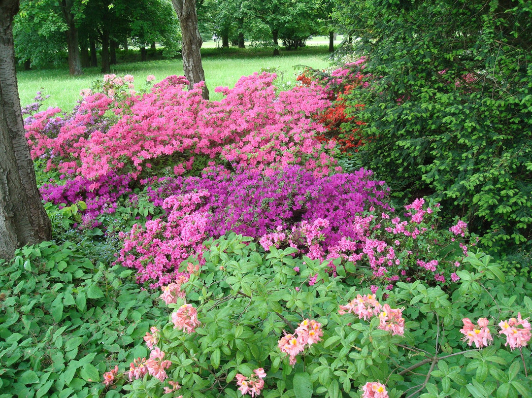 Spreeauenpark Cottbus-Cottbus必去景点