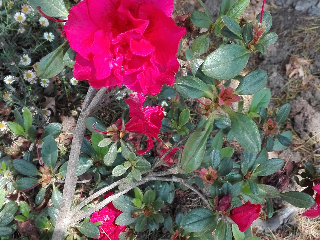 Copperleigh Trout Cottages主图