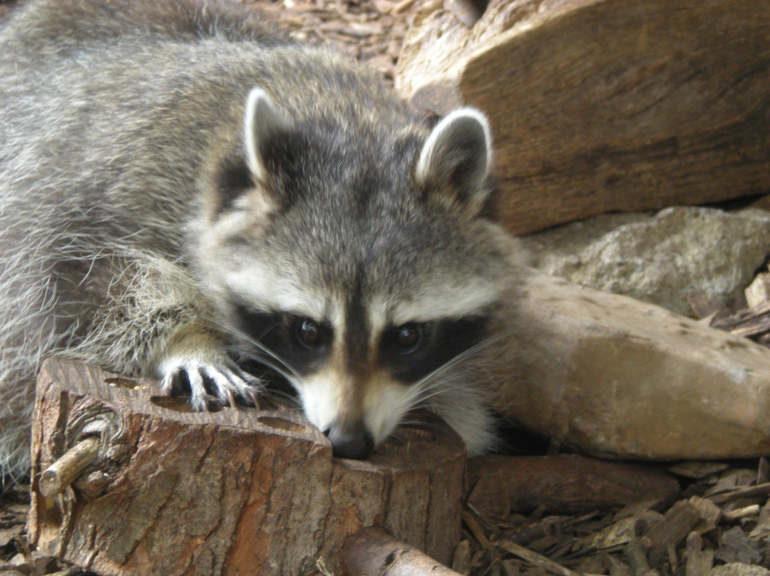 Lake Erie Nature & Science Center-Bay Village必去景点